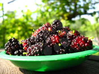 image of ripe dark berries of mulberry on a plate