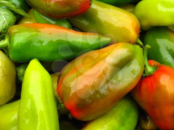 Crop of multicolour Bulgarian pepper