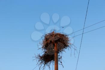 Nest of storks in village on a background of the blue sky