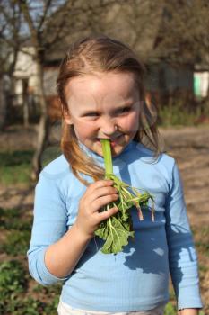little beautiful girl chewing young sprout of rhubard in the spring