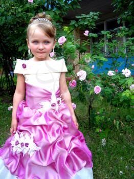 image of little very beautiful girl - princess