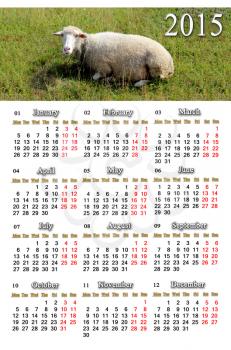 beautiful calendar for 2015 year with sheep on the grass