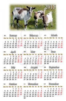 beautiful calendar for 2015 year with goats on the pasture