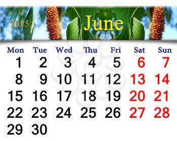 calendar for June of 2015 year on the background of birch's leaves