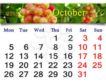 calendar for October of 2015 with the ribbon of branch of red ripe schisandra