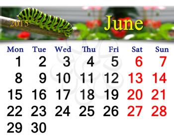 calendar for June of 2015 year with caterpillar of butterfly