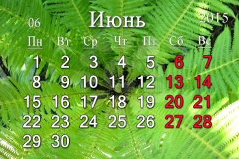 calendar for 2015 June year in Russian on the background of green fern