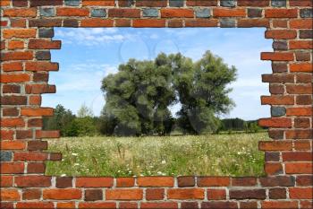broken red brick wall and view to summer landscape