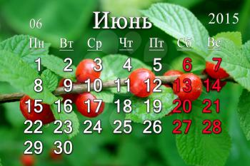 calendar for June of 2015 year with red berries of Prunus tomentosa