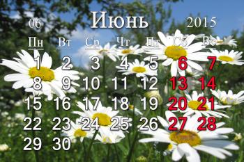 calendar for the June of 2015 on the background of summer camomiles in Russian