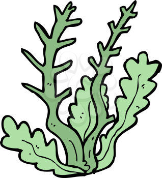 Royalty Free Clipart Image of a Seaweed