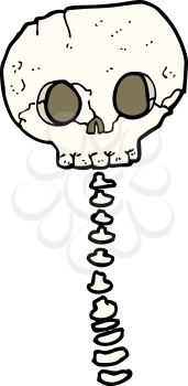 Royalty Free Clipart Image of a Skull and Spine