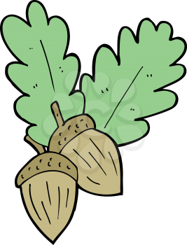 Royalty Free Clipart Image of Acorns