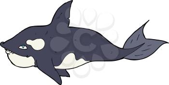 Royalty Free Clipart Image of a Killer Whale