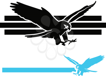 Bird of Prey mascot illustrations