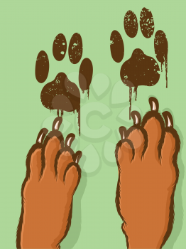 Dogs leaving paw prints