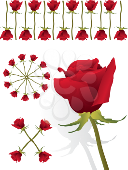Red rose pattern set