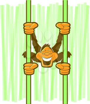 Illustration of a monkey swinging on green vines