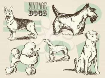 Classic Retro Ornate Dog Collection