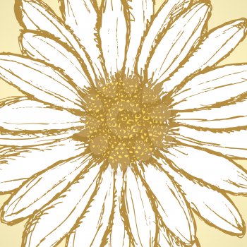 Daisy flower, vector sketch background eps 10