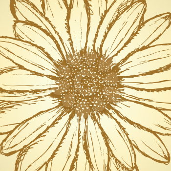 Daisy flower, vector sketch background eps 10

