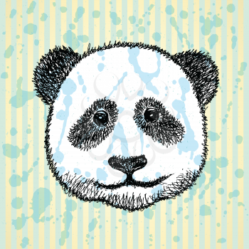 Sketch head of panda, vector vintage background