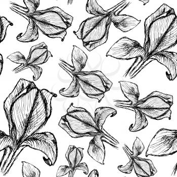 Sketch iris, vector vintage seamless pattern eps 10