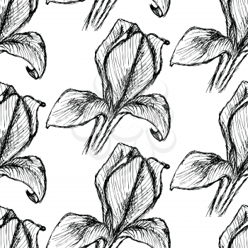 Sketch iris, vector vintage seamless pattern eps 10