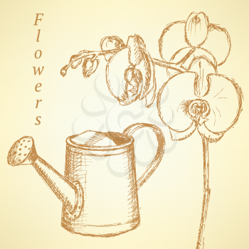 Sketch orchid and watering can, vector vintage background