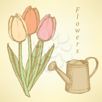 Sketch tulip and watering can, vector vintage background