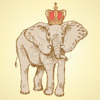 Sketch elephant in crown, vector vintage background
