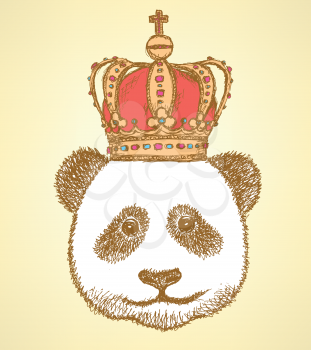 Sketch panda in crown, vector vintage background
