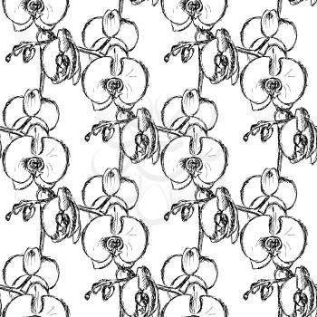 Sketch orchid, vector vintage seamless pattern eps 10