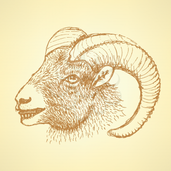 Sketch New Year ram in vintage style, background