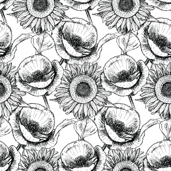 Sketch poppy and sunflower, vector vintage seamless pattern