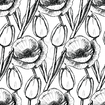 Sketch tulip and poppy, background in vintage style