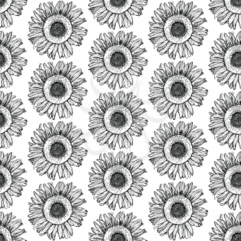 Sketch sunflower, vector vintage seamless pattern eps 10