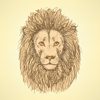 Sketch cute lion in vintage style, background
