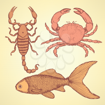 Sketch cute crab, scorpion and fish  in vintage style, background