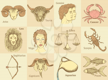 Sketch zodiac signs in vintage style, vector