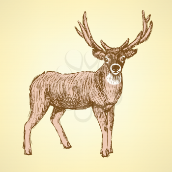 Sketch cute deer in vintage style, vector
