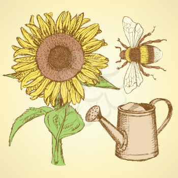 Sketch sunflower, bee and watering can, vector vintage background

