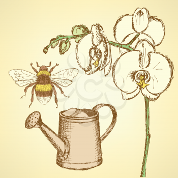 Sketch orchid, bee and watering can, vector background

