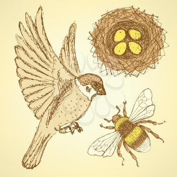 Sketch set with sparrow, bee and nest in vintage style, vector