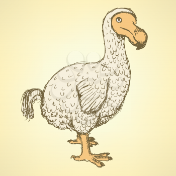 Sketch dodo bird in vintage style, vector