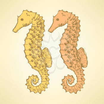 Sketch cute seahorse in vintage style, vector