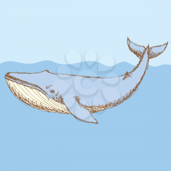 Sketch cute whalel in vintage style, vector