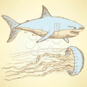 Sketch shark and jellyfish in vintage style, vector