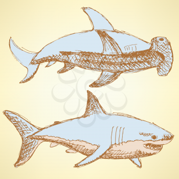Sketch scary sharks in vintage style, vector