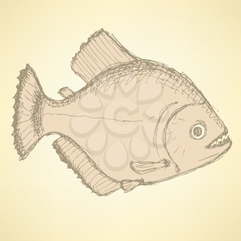 Sketch dangeous piranha in vintage style, vector